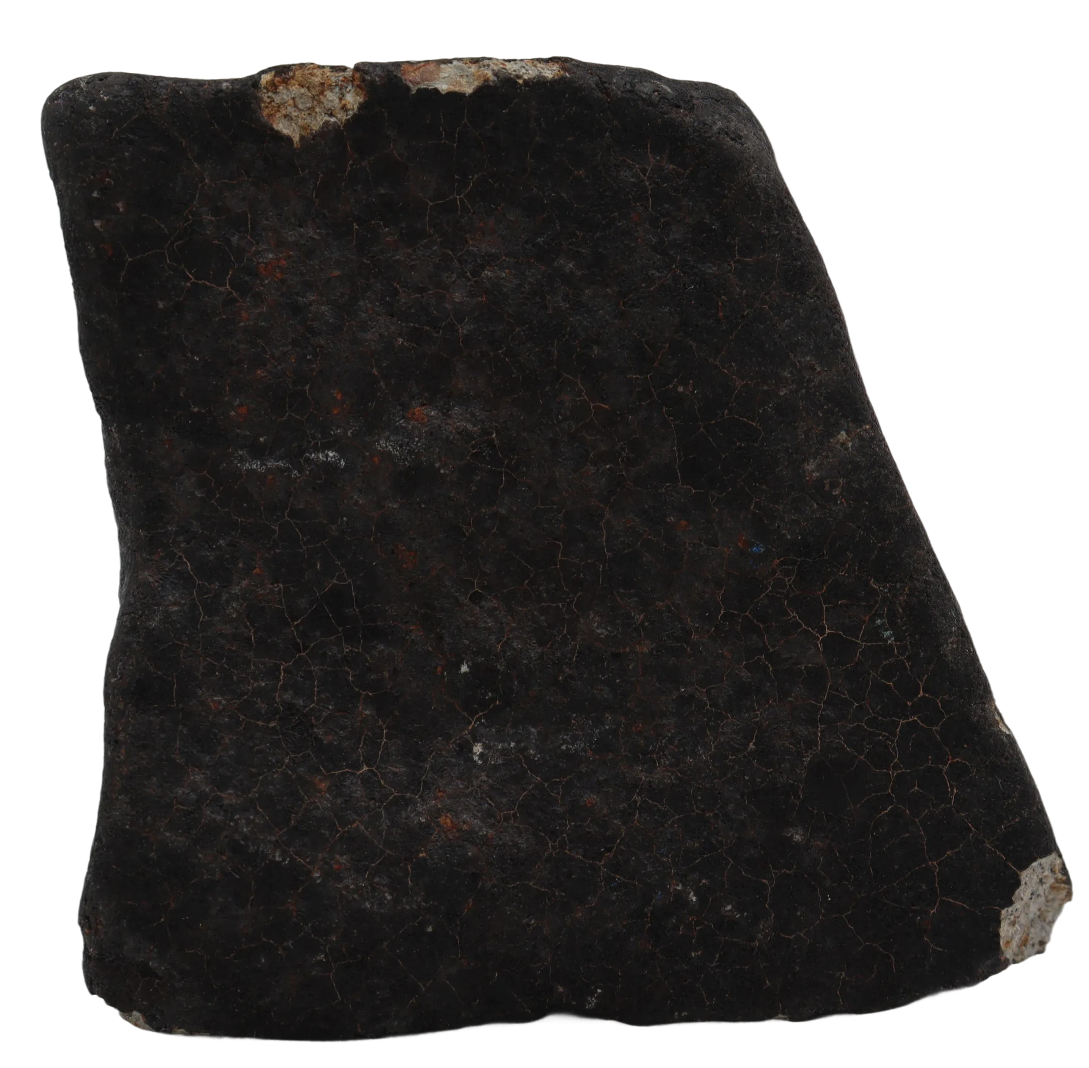Ghadamis 247,18 g (HAH 346)  Ordinary Chondrite (L). - MBS meteorite 