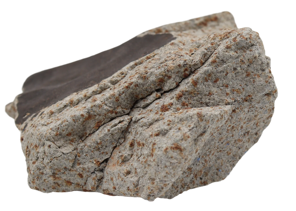 Ghadamis 986 g (HAH 346) Ordinary Chondrite (L) . - MBS meteorite 