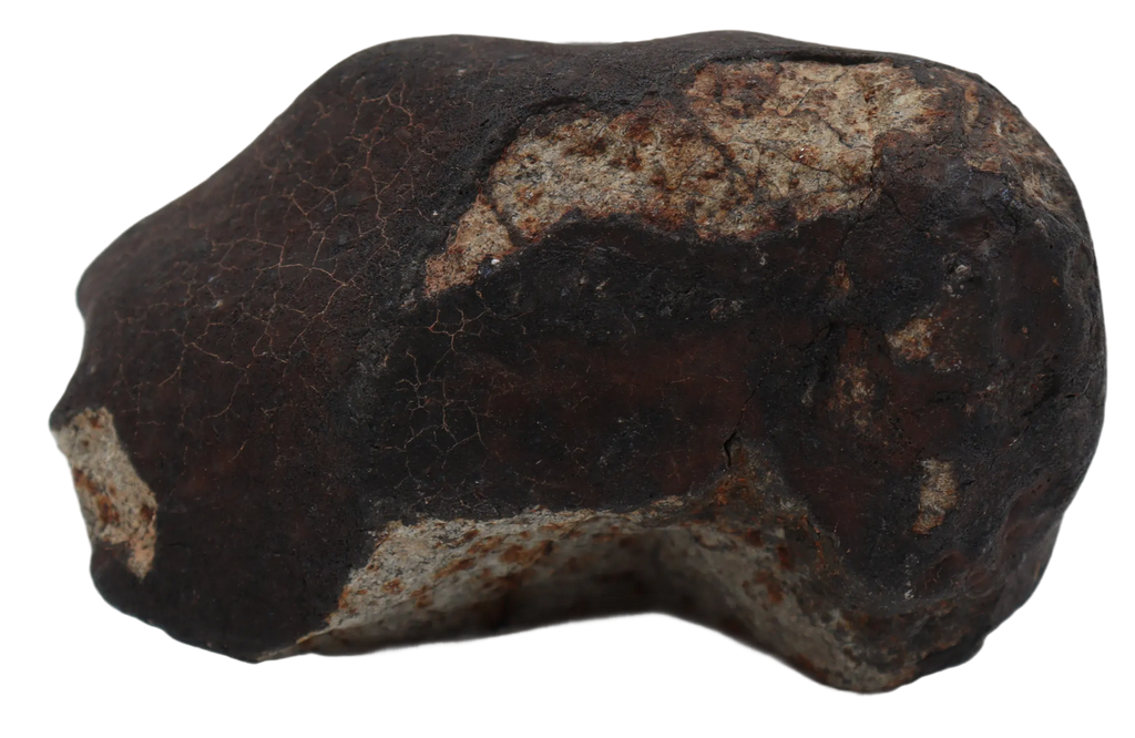 Ghadamis 153,94 g (HAH 346) Ordinary Chondrite (L). - MBS meteorite 