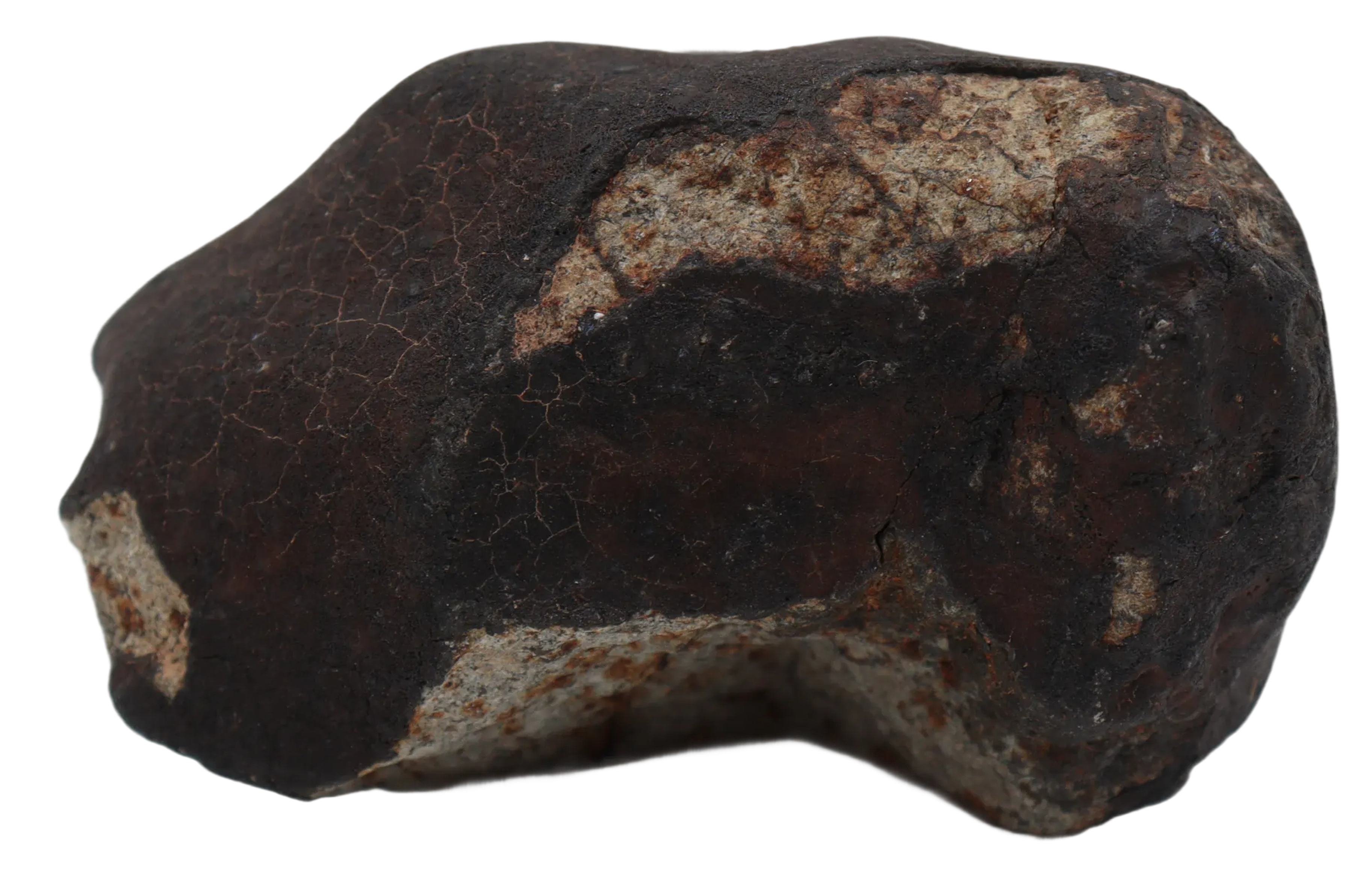 Ghadamis 153,94 g (HAH 346) Ordinary Chondrite (L). - MBS meteorite 