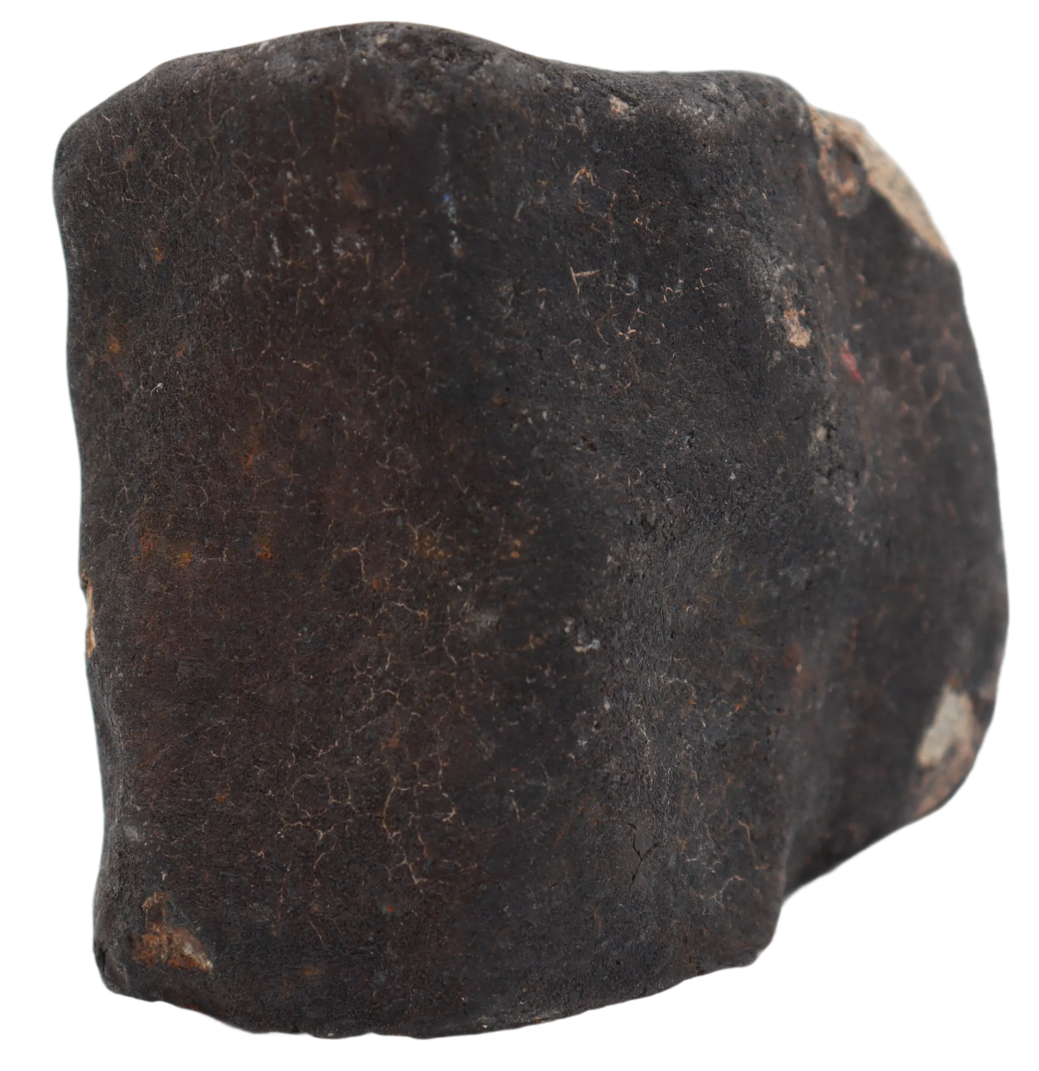 Ghadamis 214,92 g (HAH 346) Ordinary Chondrite (L). - MBS meteorite 