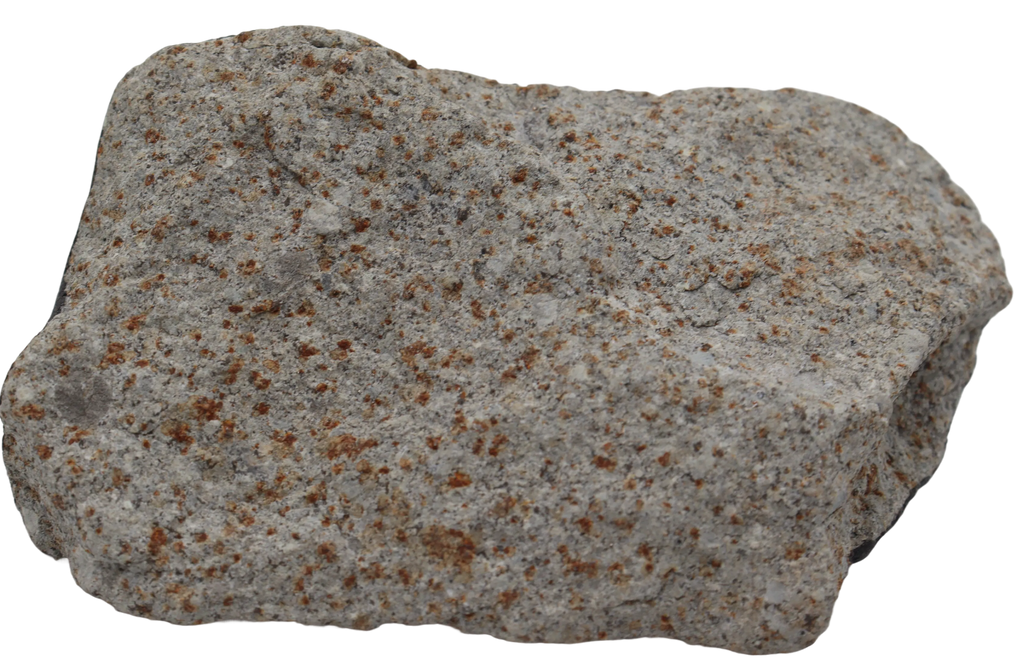 Ghadamis 321,42 g (HAH 346) Ordinary Chondrite (L). - MBS meteorite 