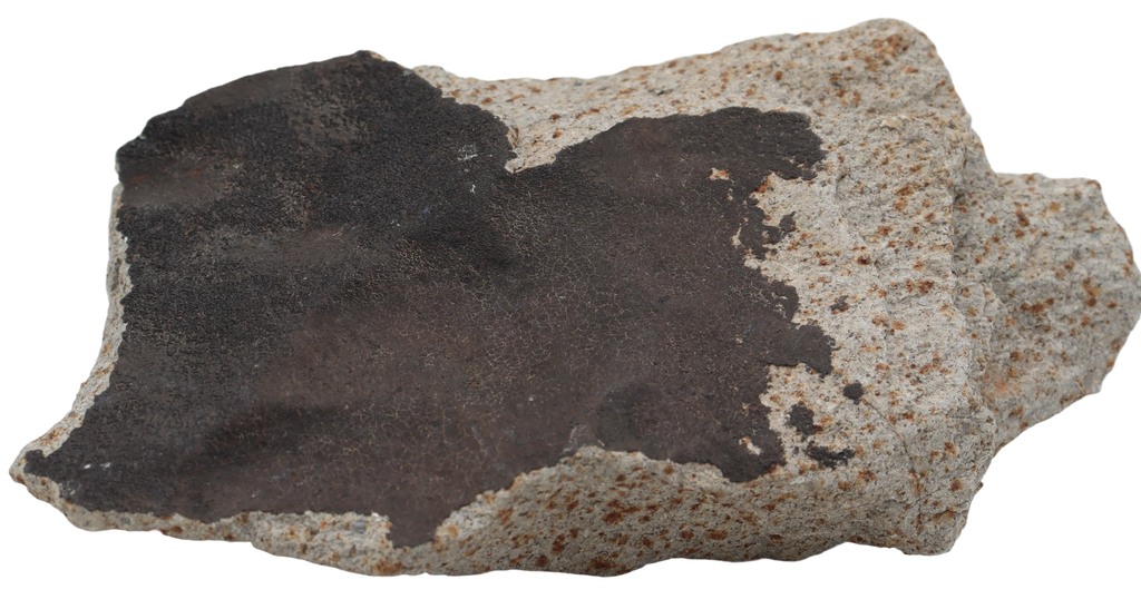 Ghadamis 986 g (HAH 346) Ordinary Chondrite (L) . - MBS meteorite 