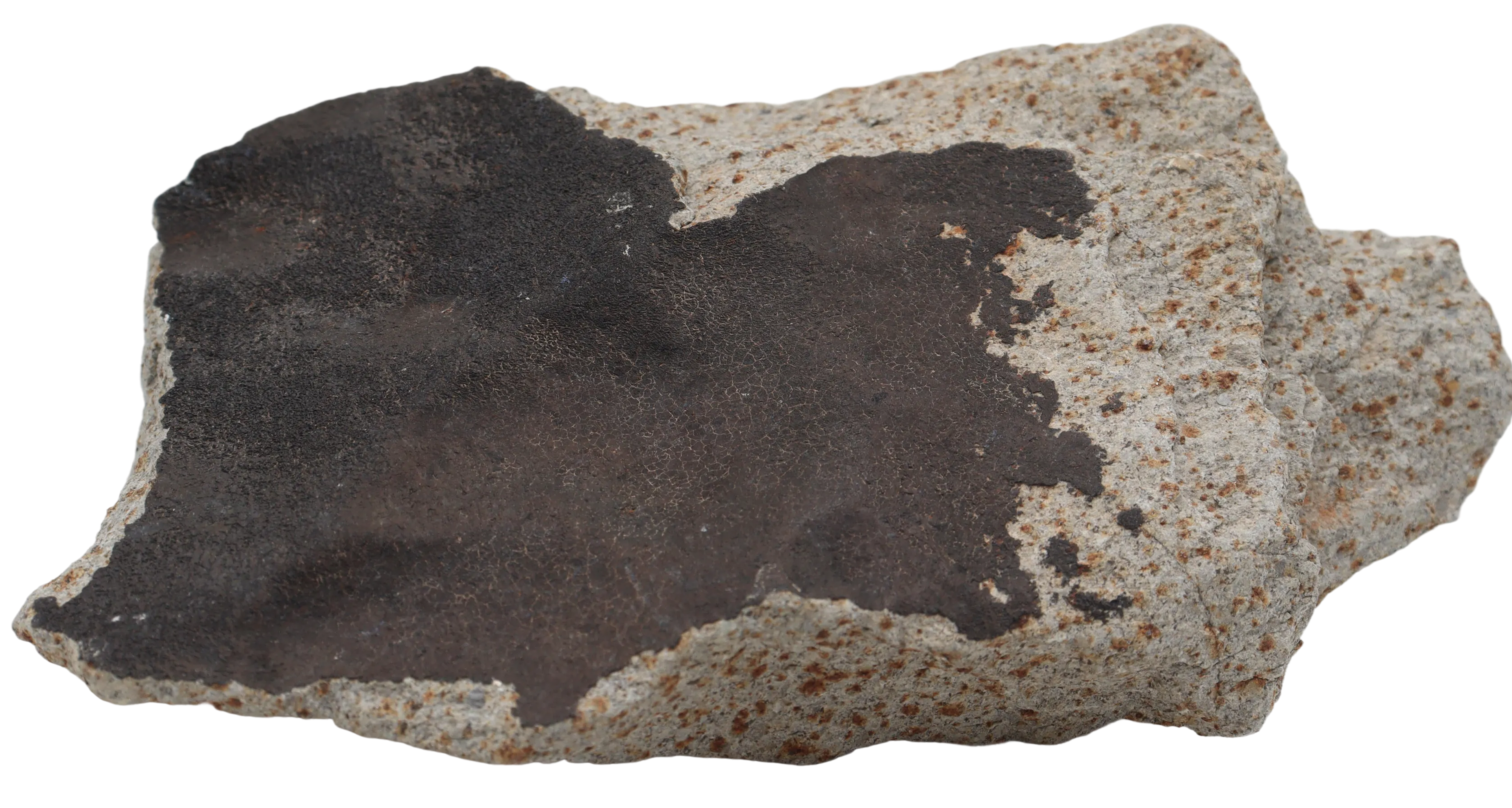 Ghadamis 986 g (HAH 346) Ordinary Chondrite (L) . - MBS meteorite 