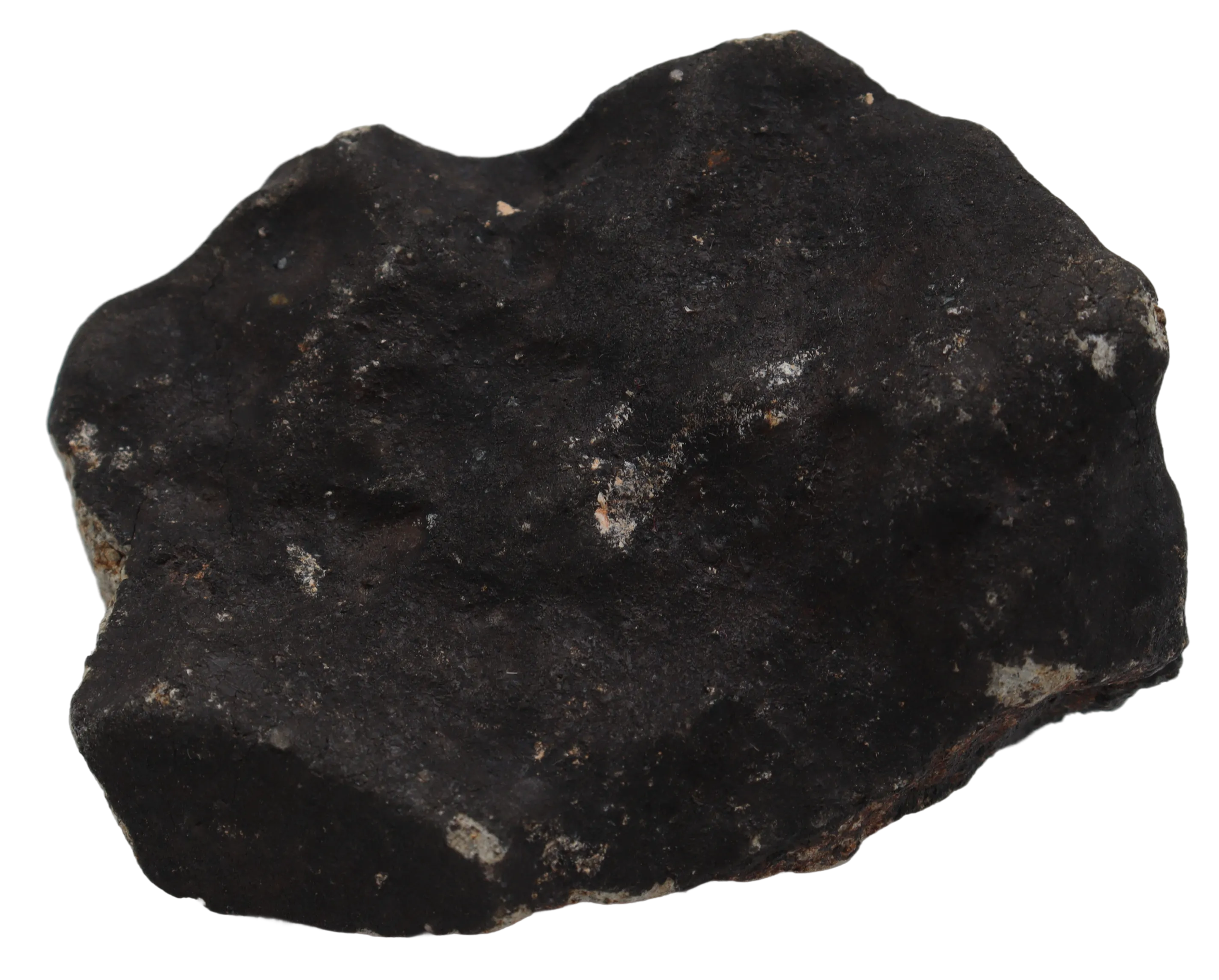 Ghadamis (194,33 g HAH 346) Ordinary Chondrite (L). - MBS meteorite 