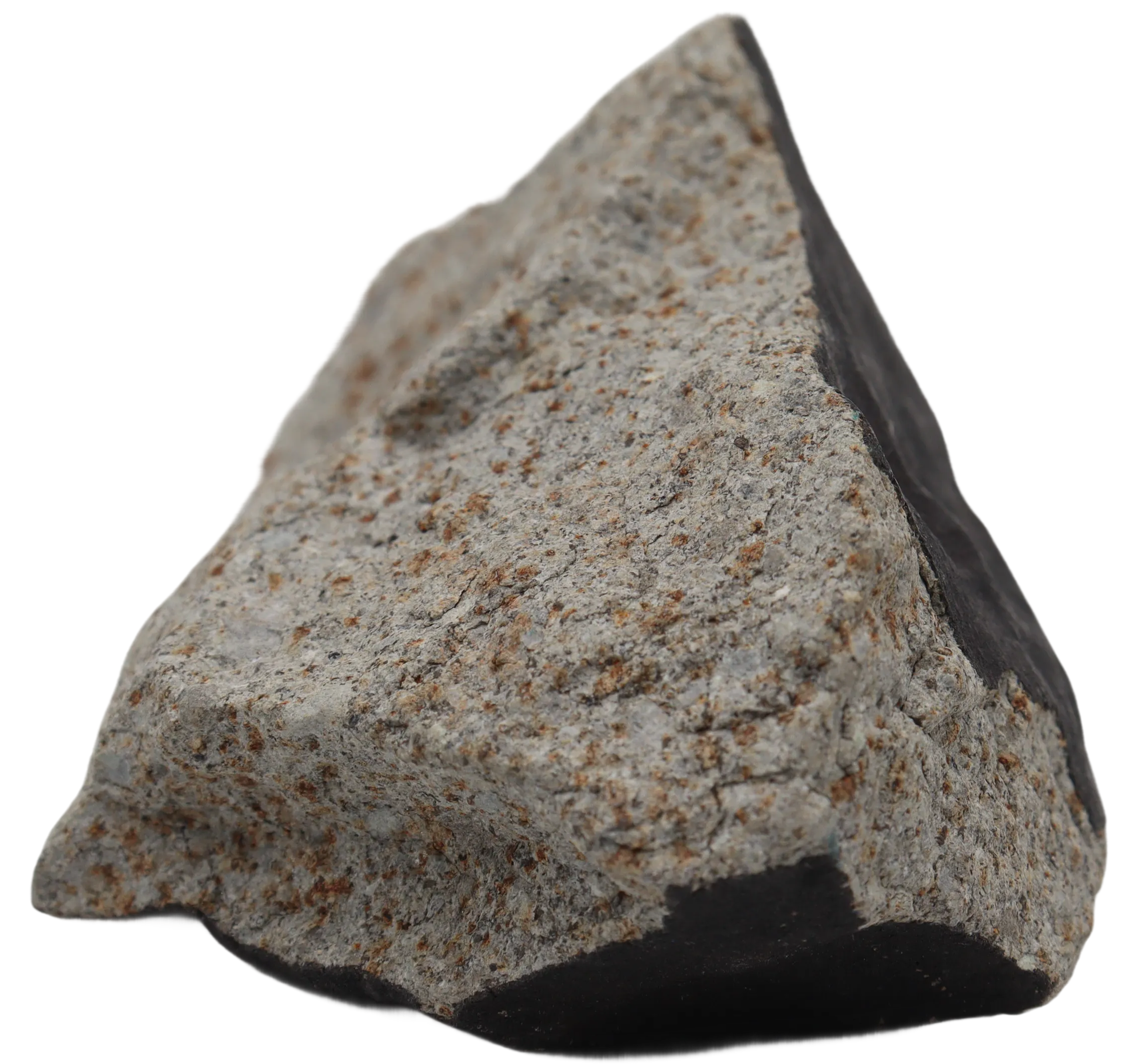 Ghadamis 321,42 g (HAH 346) Ordinary Chondrite (L). - MBS meteorite 