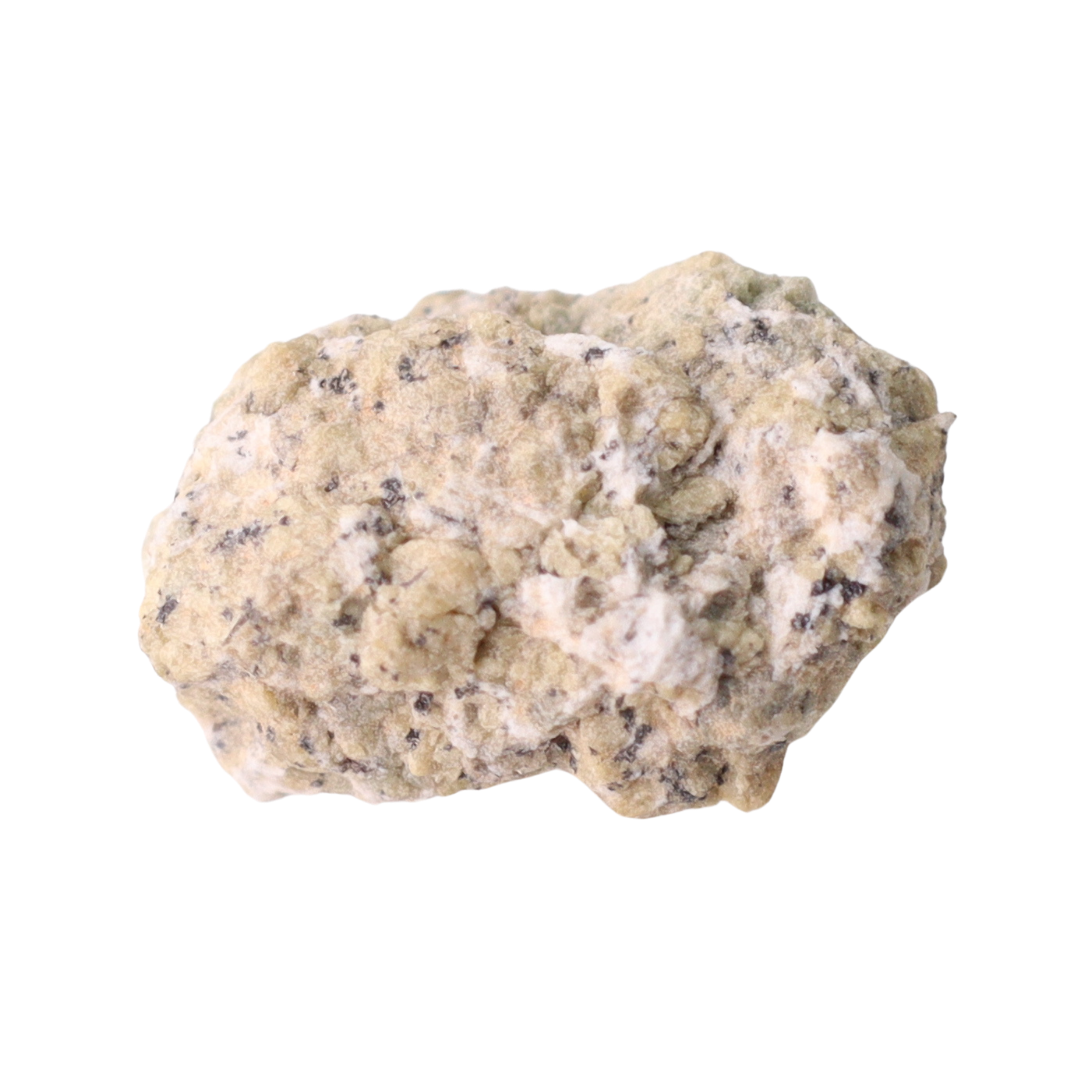 Close-up of NWA 12241 Martian Shergottite meteorite from MBS Meteorite, showing its textured, rocky surface.
