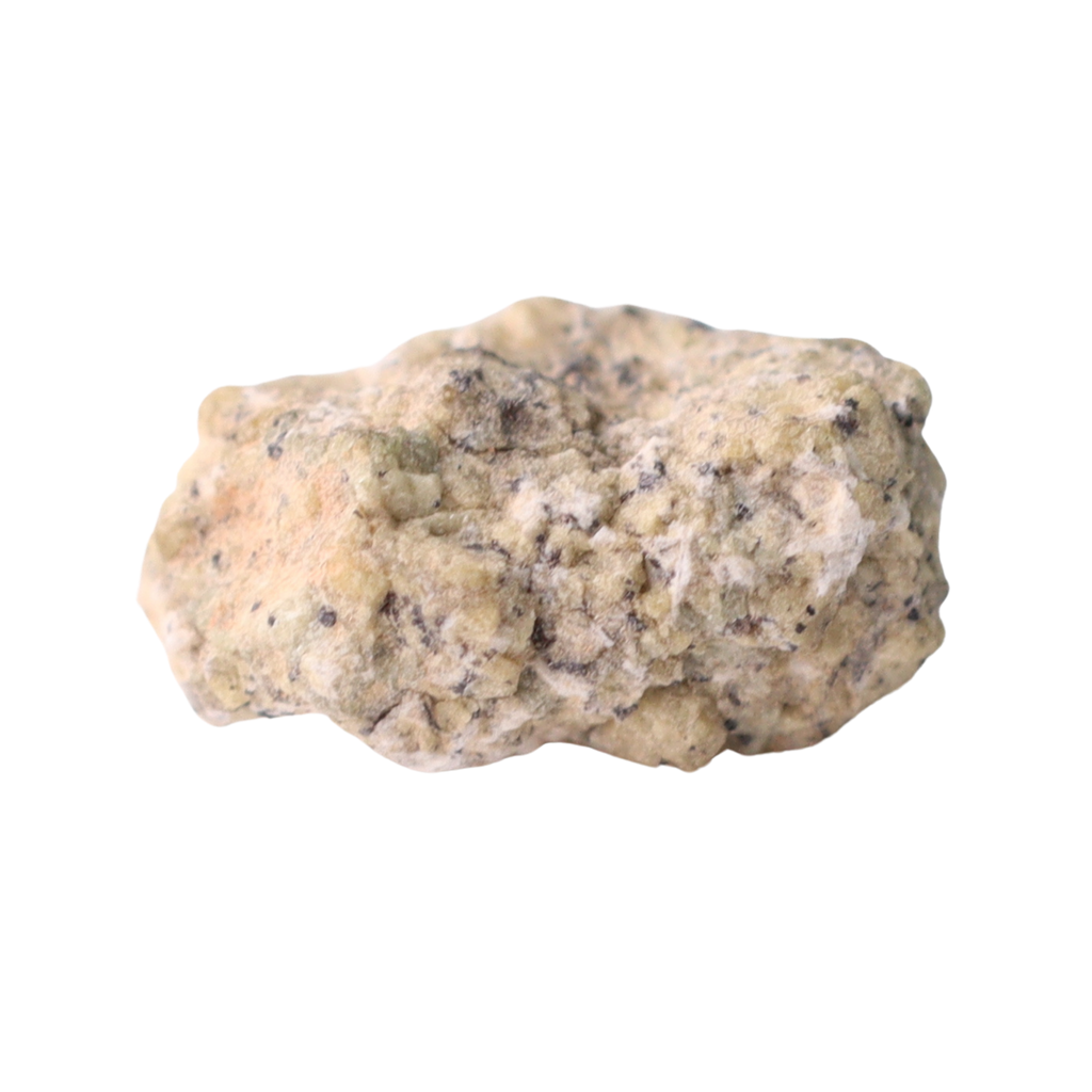 Martian NWA 12241 Shergottite meteorite from MBS Meteorite, showing a small fragment with dark, textured surface.