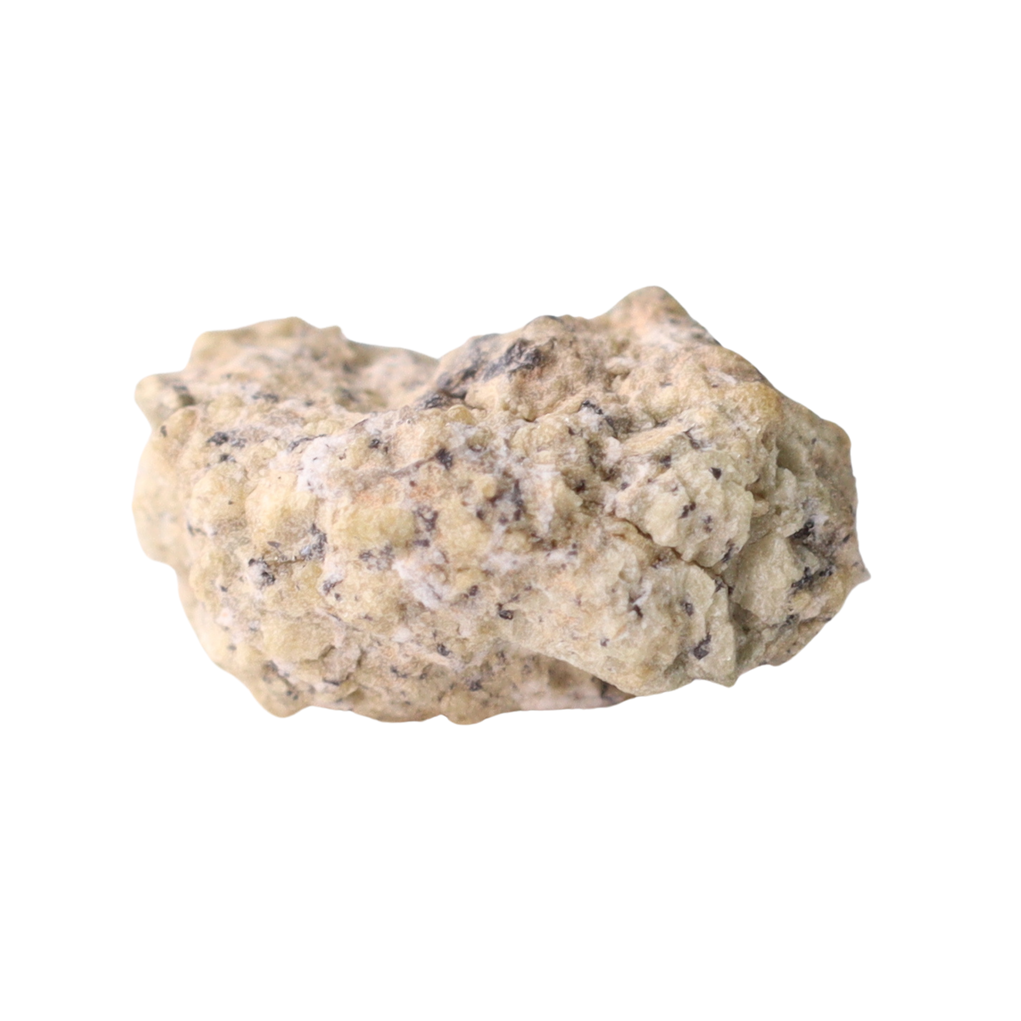 Small NWA 12241 Martian Shergottite meteorite from MBS Meteorite, showing a dark, textured surface with reddish hues.