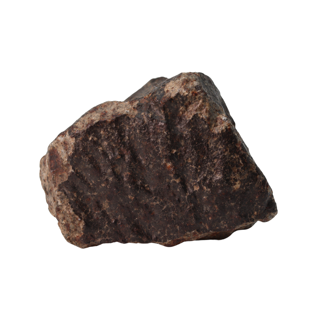 NWA 13281 Meteorite Ordinary Chondrite L5 (149 g) - MBS meteorite 