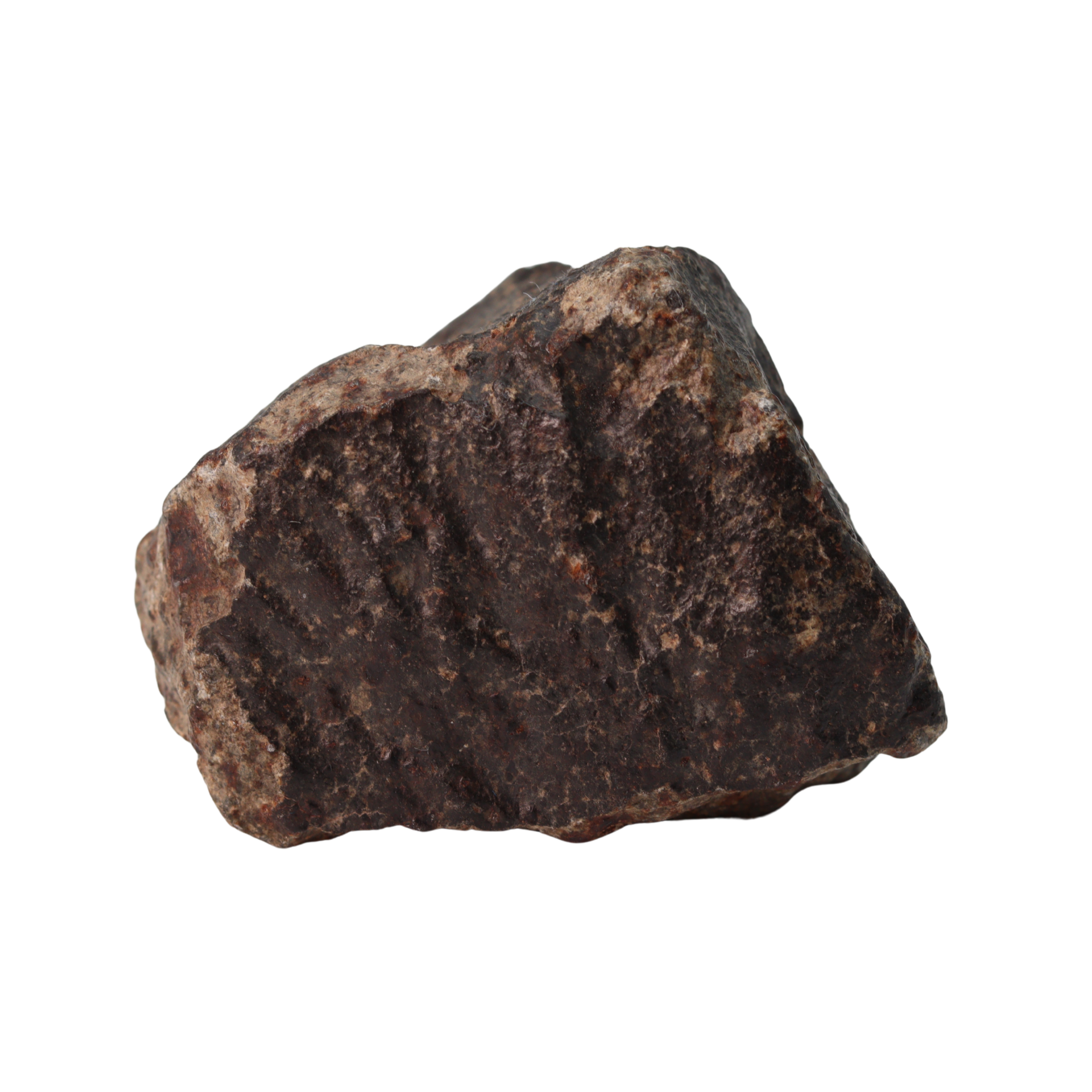 NWA 13281 Meteorite Ordinary Chondrite L5 (149 g) - MBS meteorite 