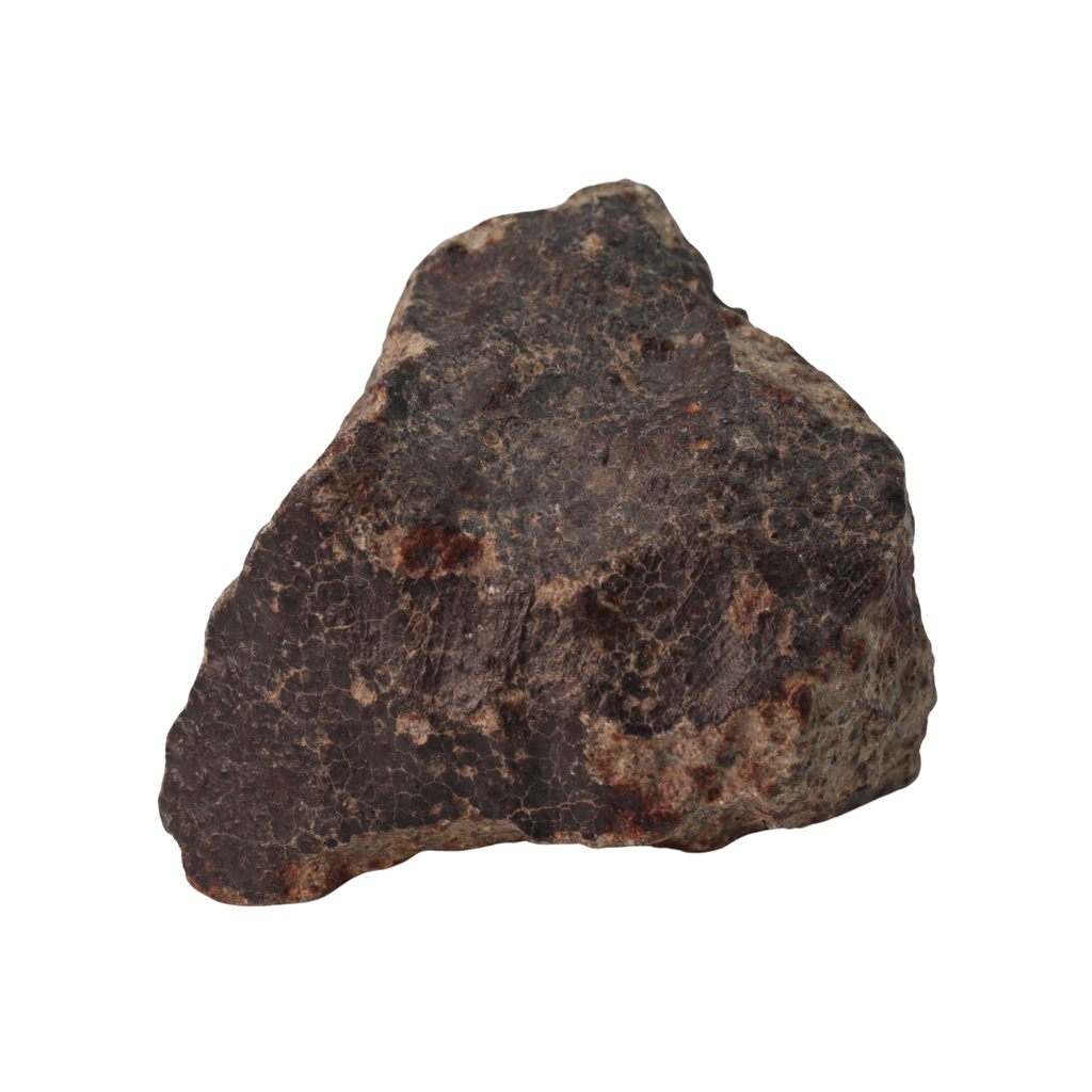 NWA 13281 Meteorite Ordinary Chondrite L5 (149 g) - MBS meteorite 