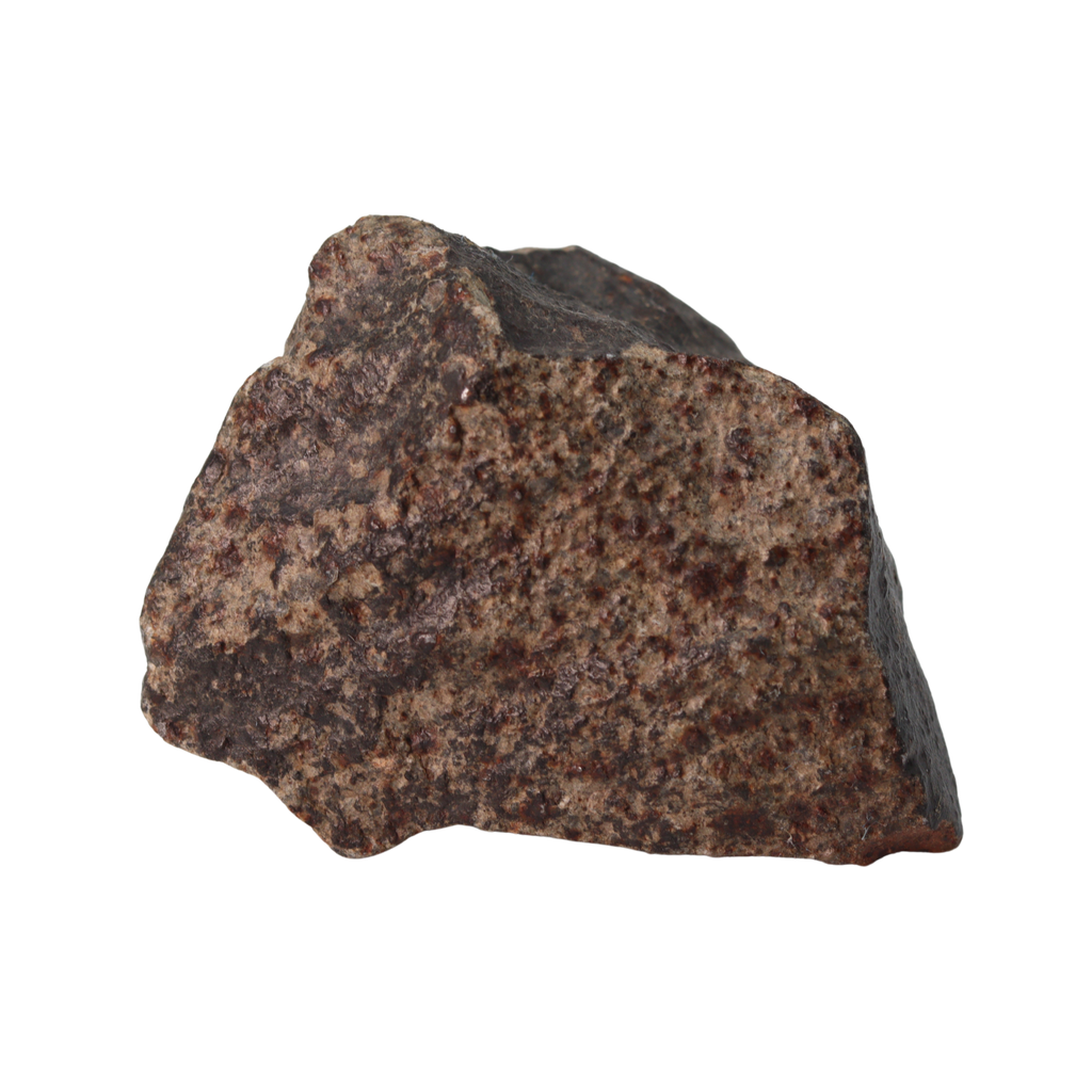 NWA 13281 Meteorite Ordinary Chondrite L5 (149 g) - MBS meteorite 