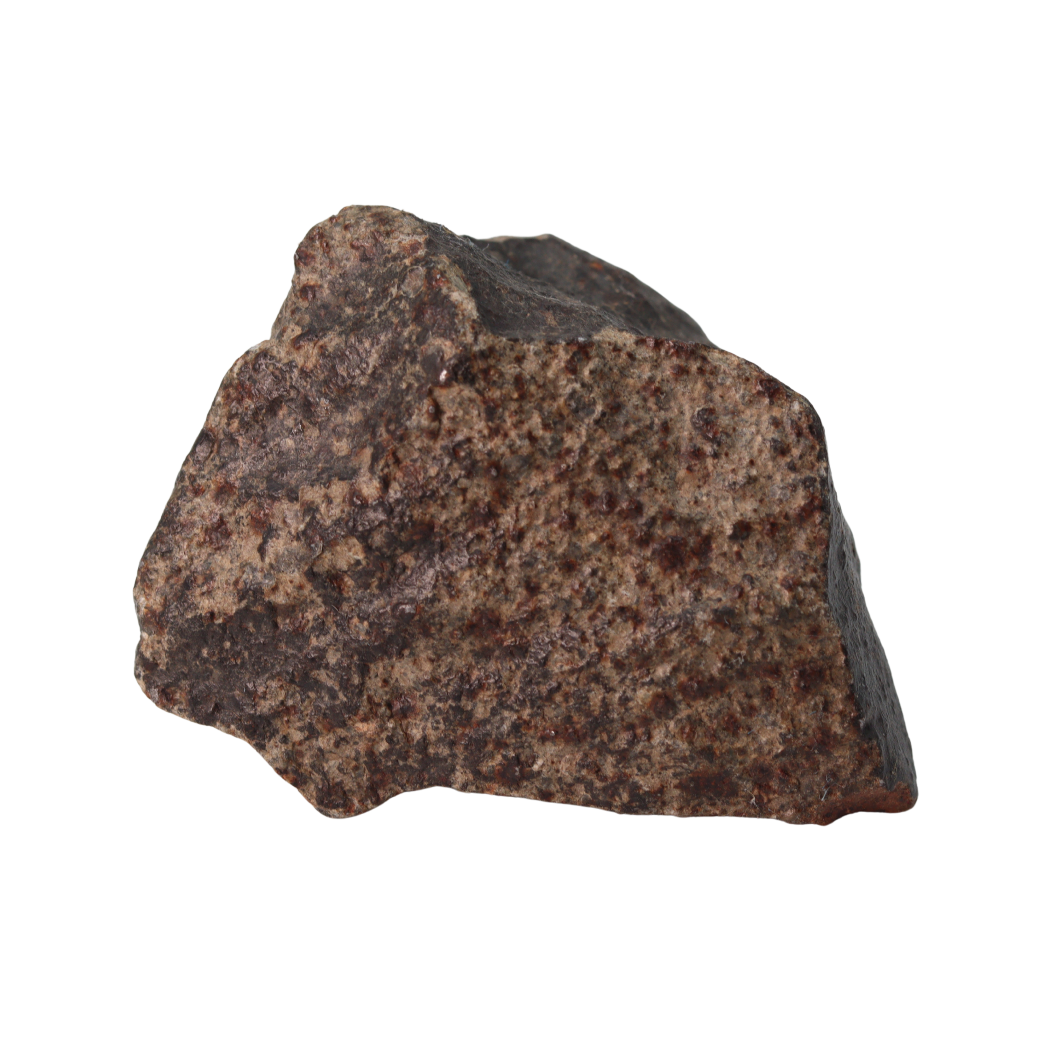 NWA 13281 Meteorite Ordinary Chondrite L5 (149 g) - MBS meteorite 