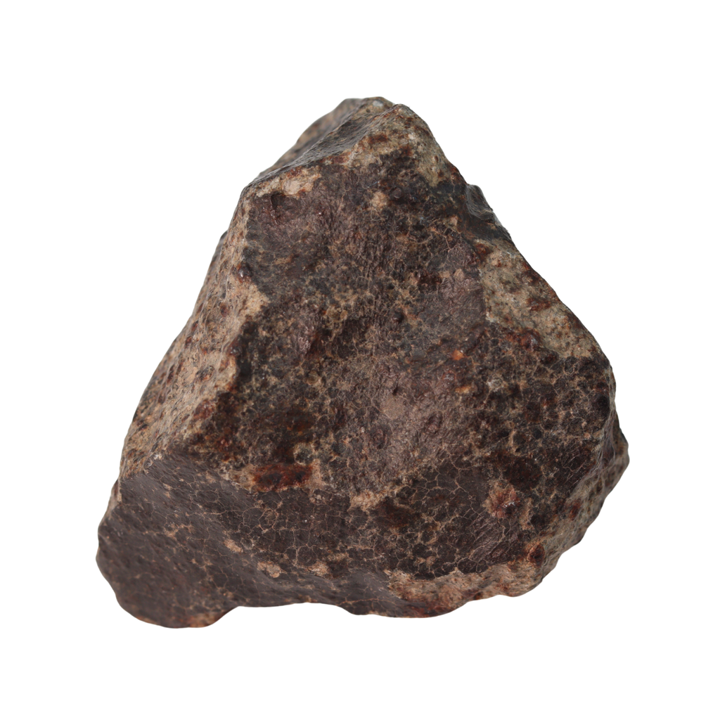 NWA 13281 Meteorite Ordinary Chondrite L5 (149 g) - MBS meteorite 