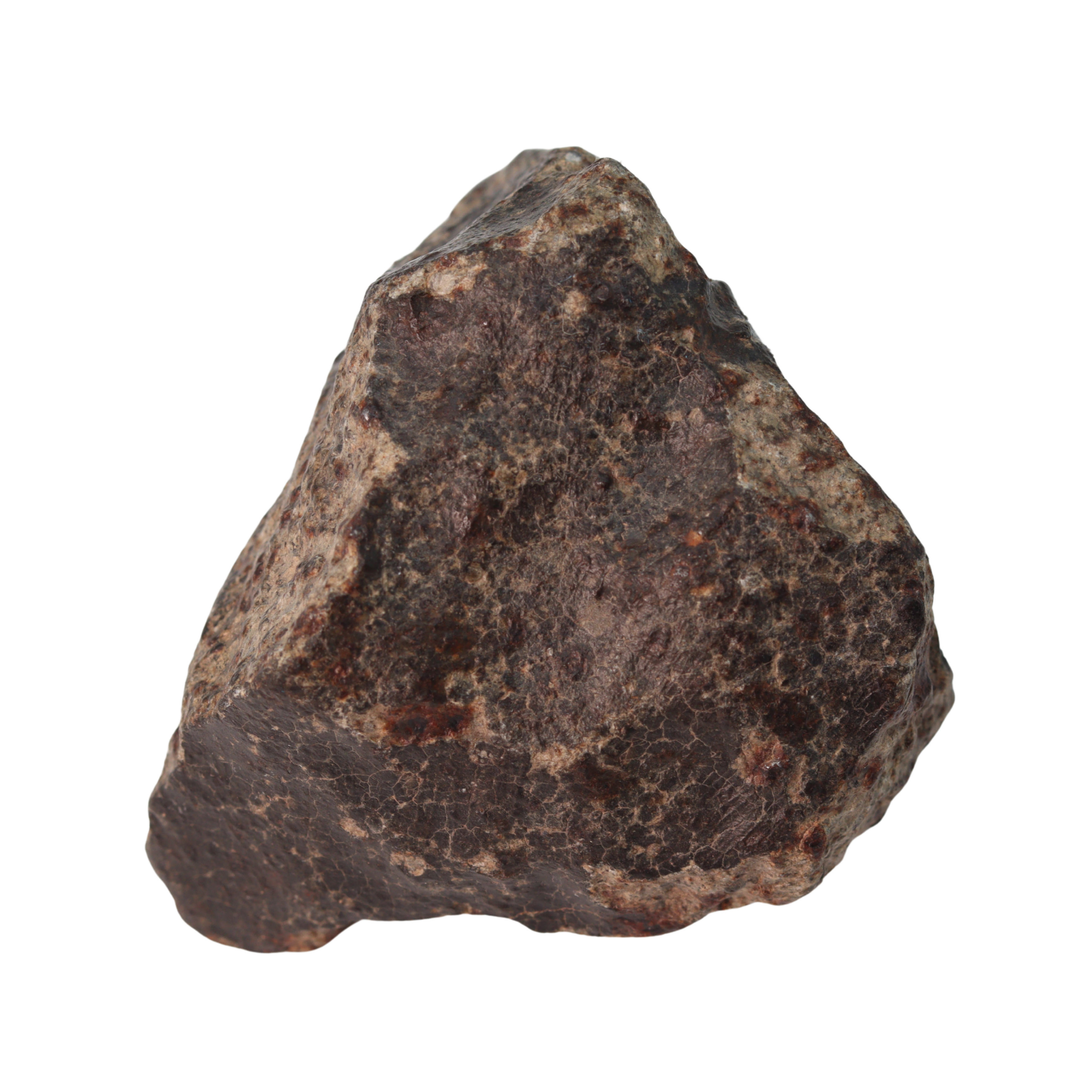 NWA 13281 Meteorite Ordinary Chondrite L5 (149 g) - MBS meteorite 