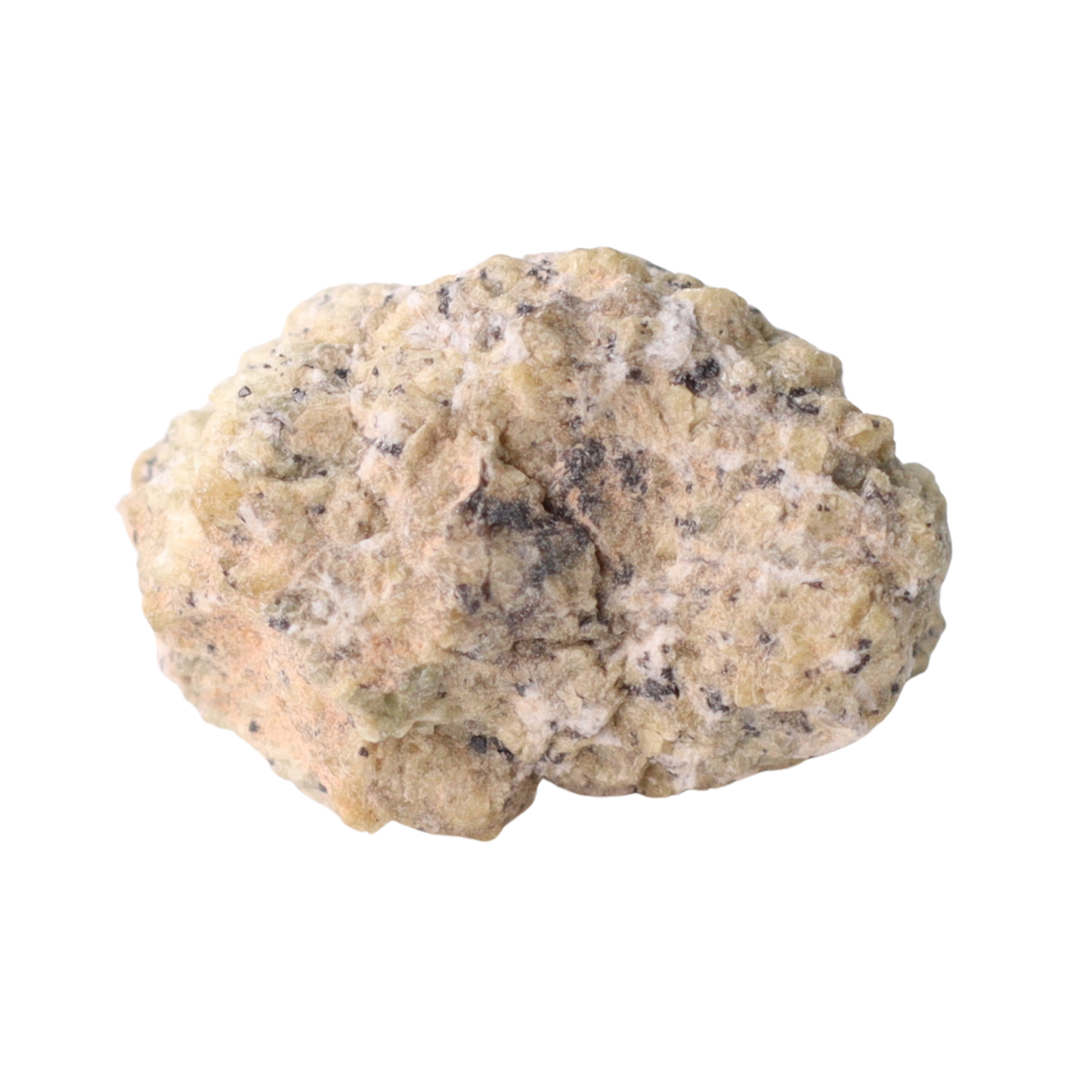 Small NWA 12241 Martian Shergottite meteorite from MBS Meteorite, showing its dark, rocky surface and unique extraterrestrial texture.