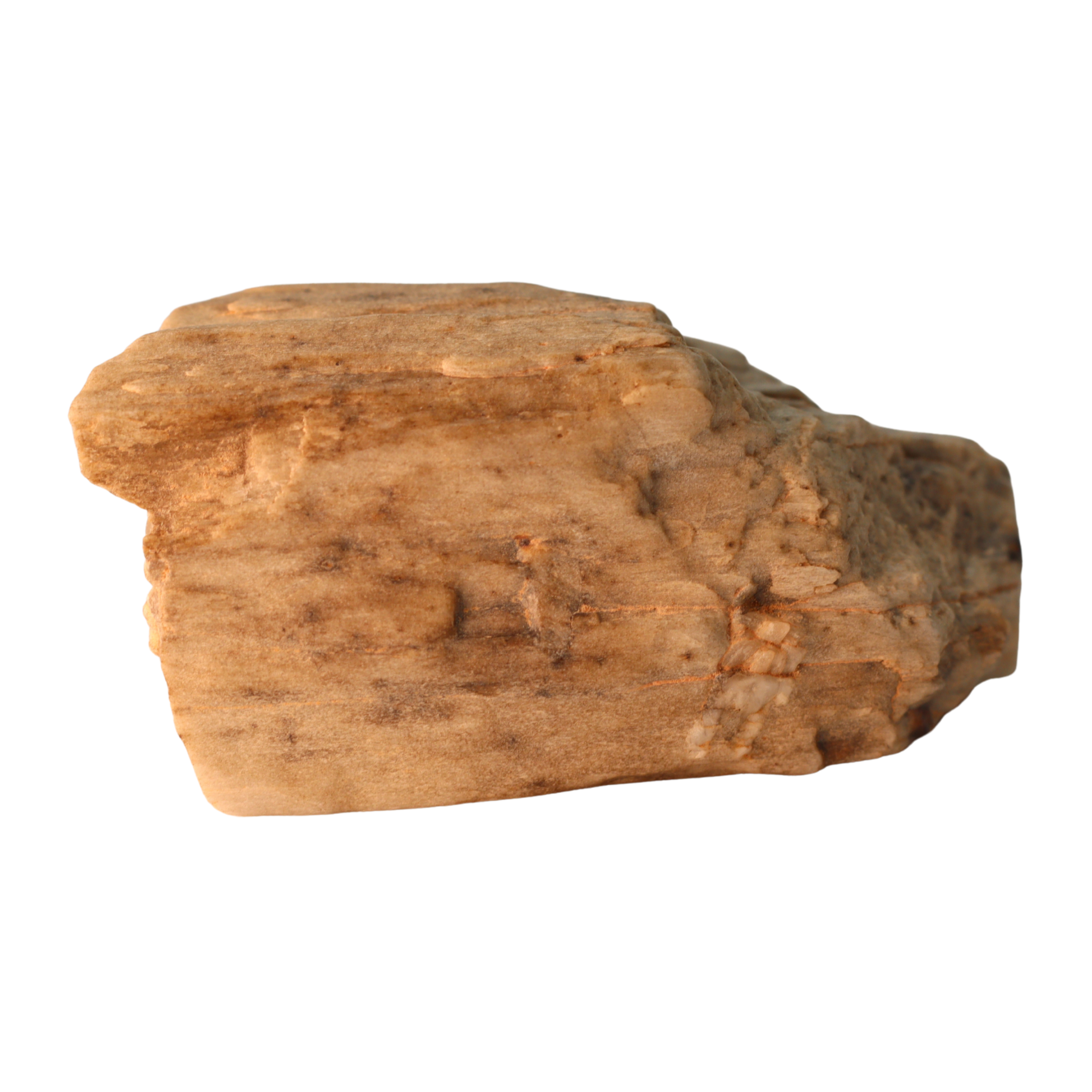 MBS meteorite Sebkha el Melah 001 meteorite, Enstatite achondrite Aubrite, showing a dark, textured meteorite specimen with mineral details.