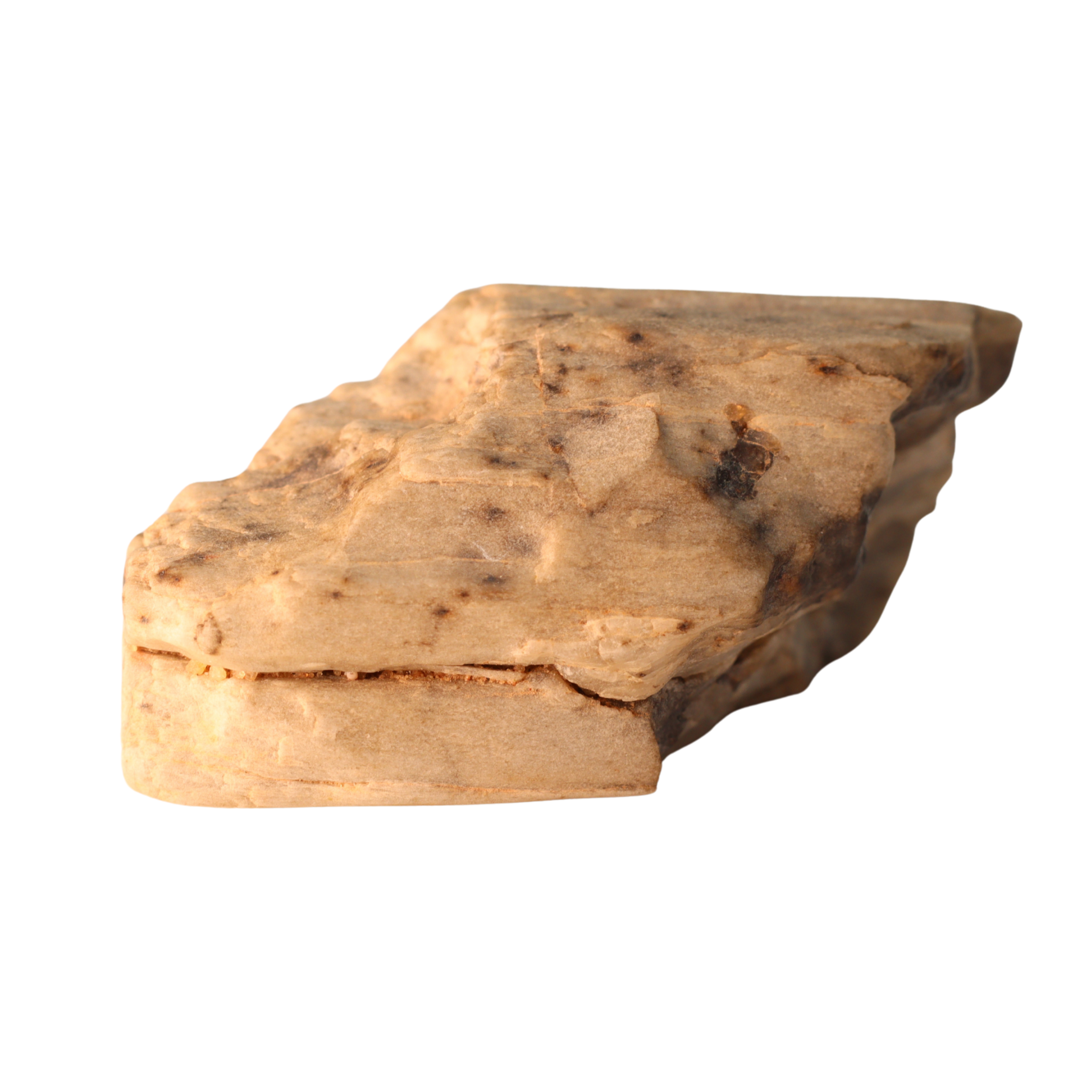 Sebkha el Melah 001 meteorite, MBS Meteorite enstatite achondrite Aubrite, showing dark mineral surface and unique texture.