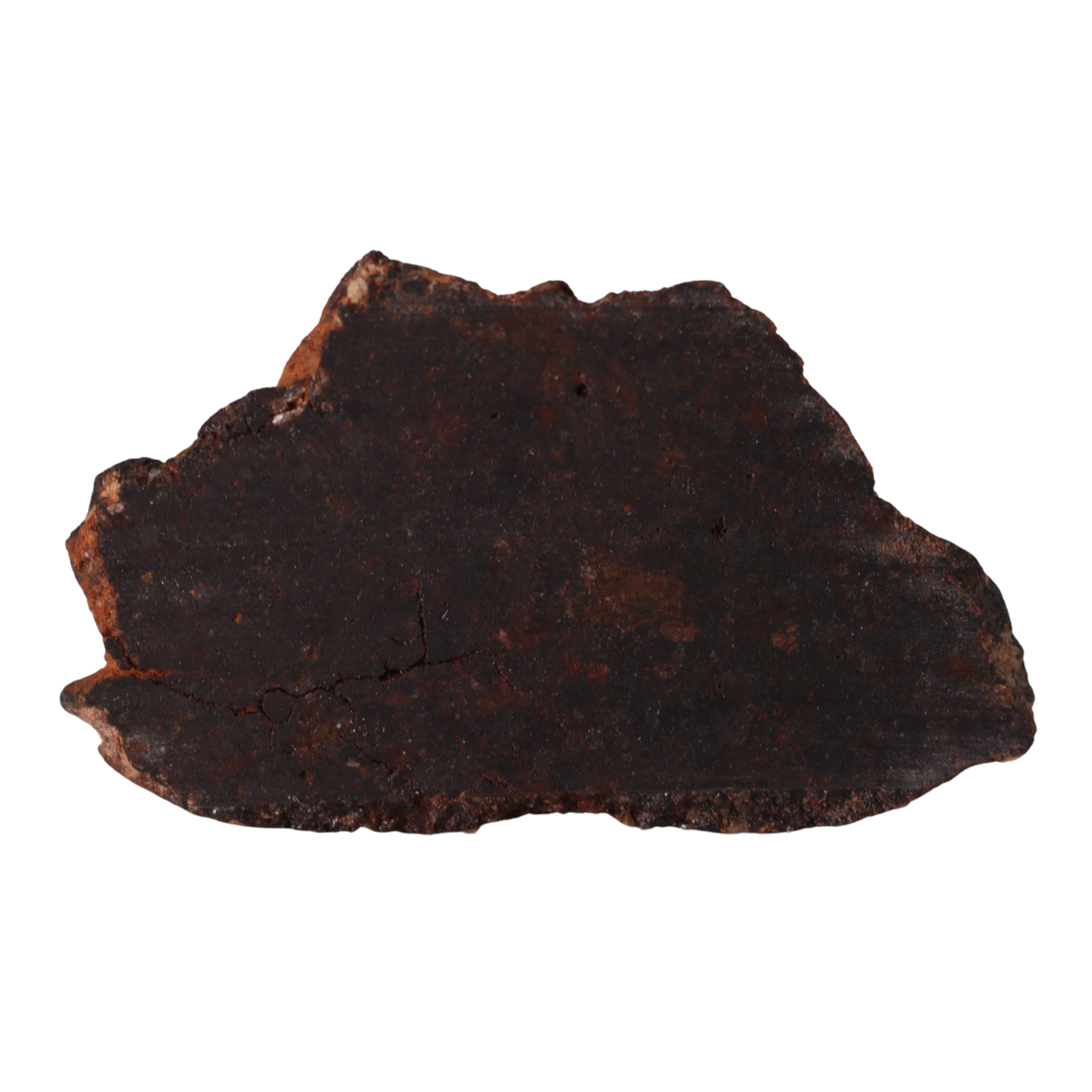 Rafsa 007 – Angrite Meteorite Slice (2.22 g). - MBS meteorite 