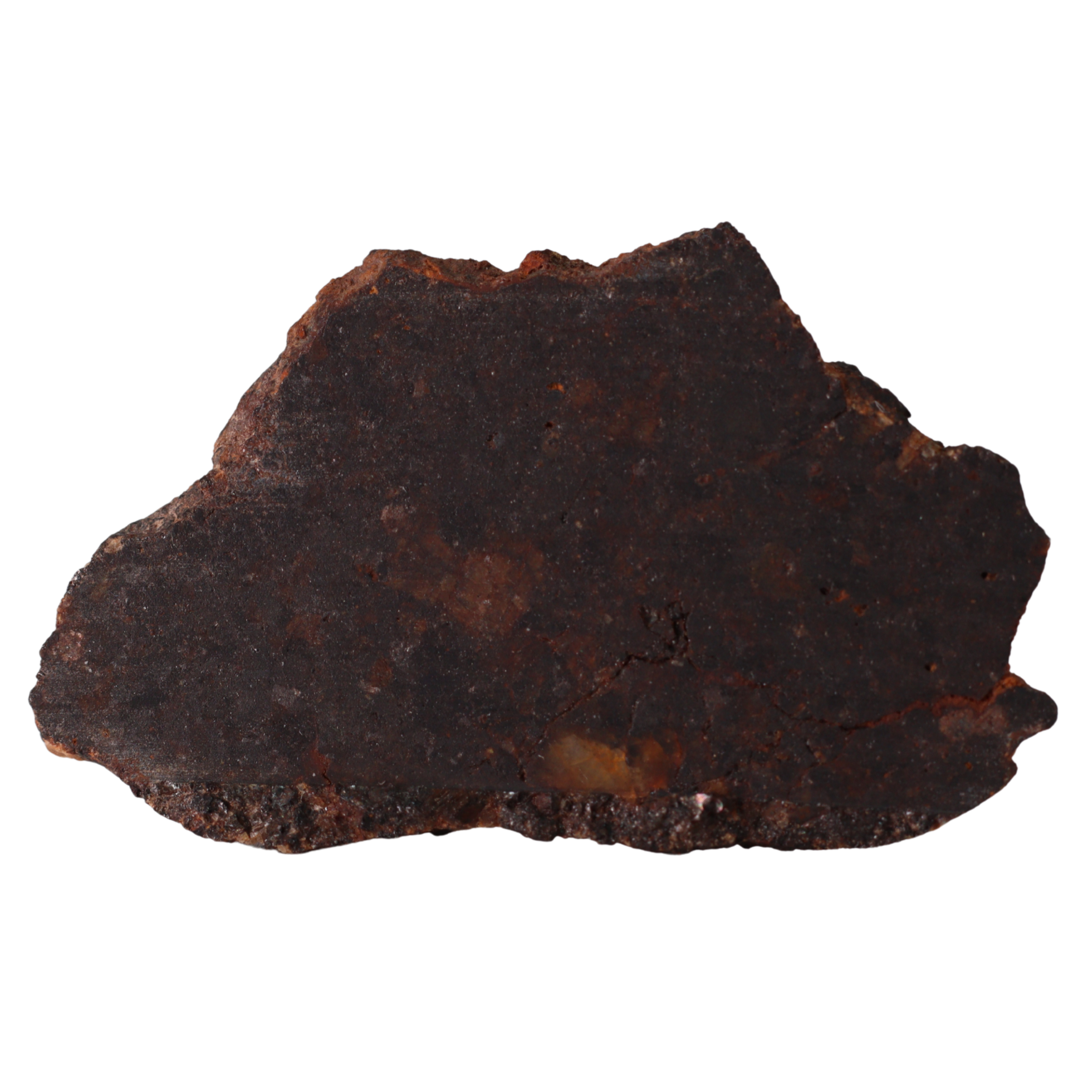 Rafsa 007 – Angrite Meteorite Slice (2.22 g). - MBS meteorite 
