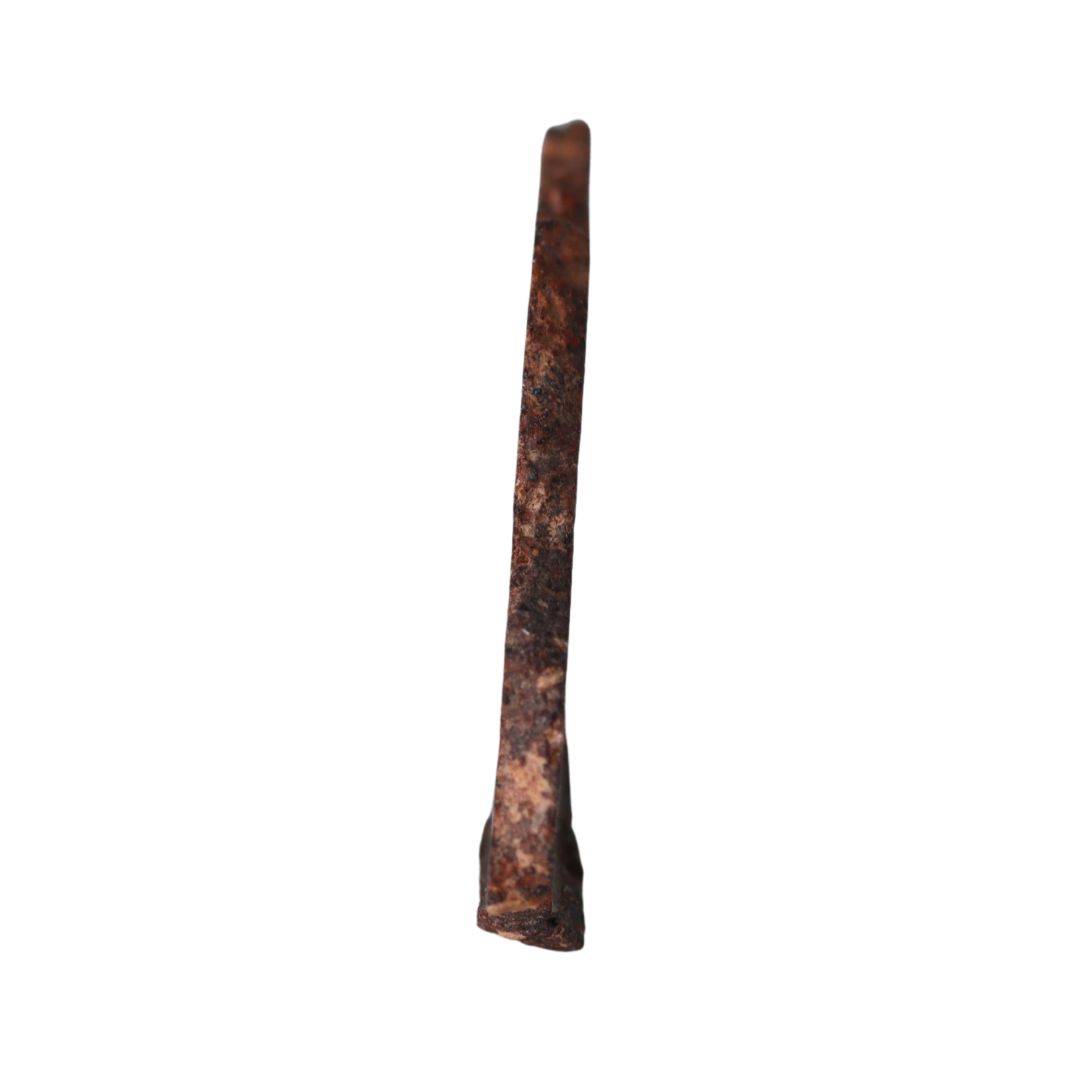 Rafsa 007 – Angrite Meteorite Slice (2.22 g). - MBS meteorite 