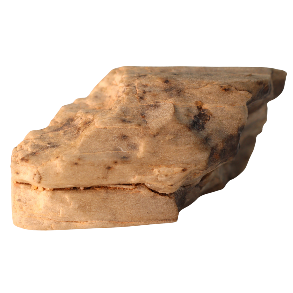 MBS meteorite Sebkha el Melah 001 enstatite achondrite aubrite meteorite with mineral details and a dark, rocky surface.