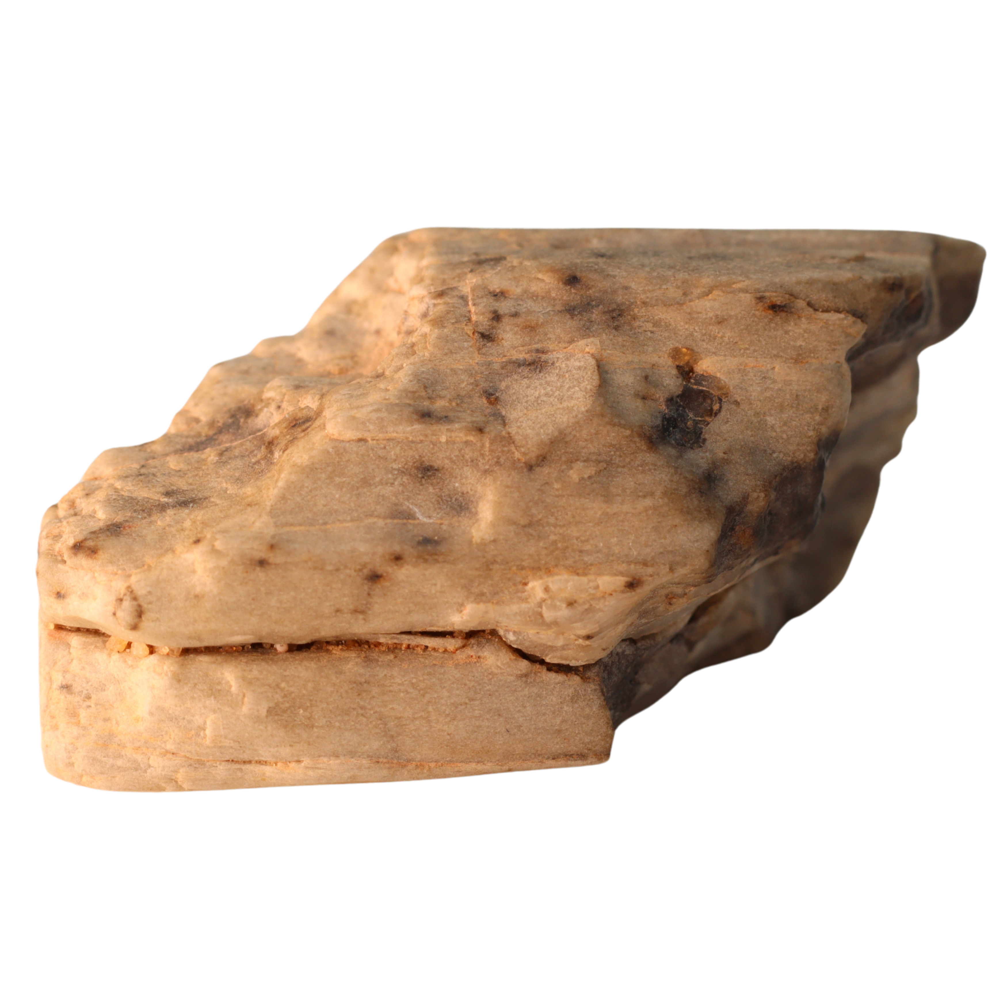 MBS meteorite Sebkha el Melah 001 enstatite achondrite aubrite meteorite with mineral details and a dark, rocky surface.