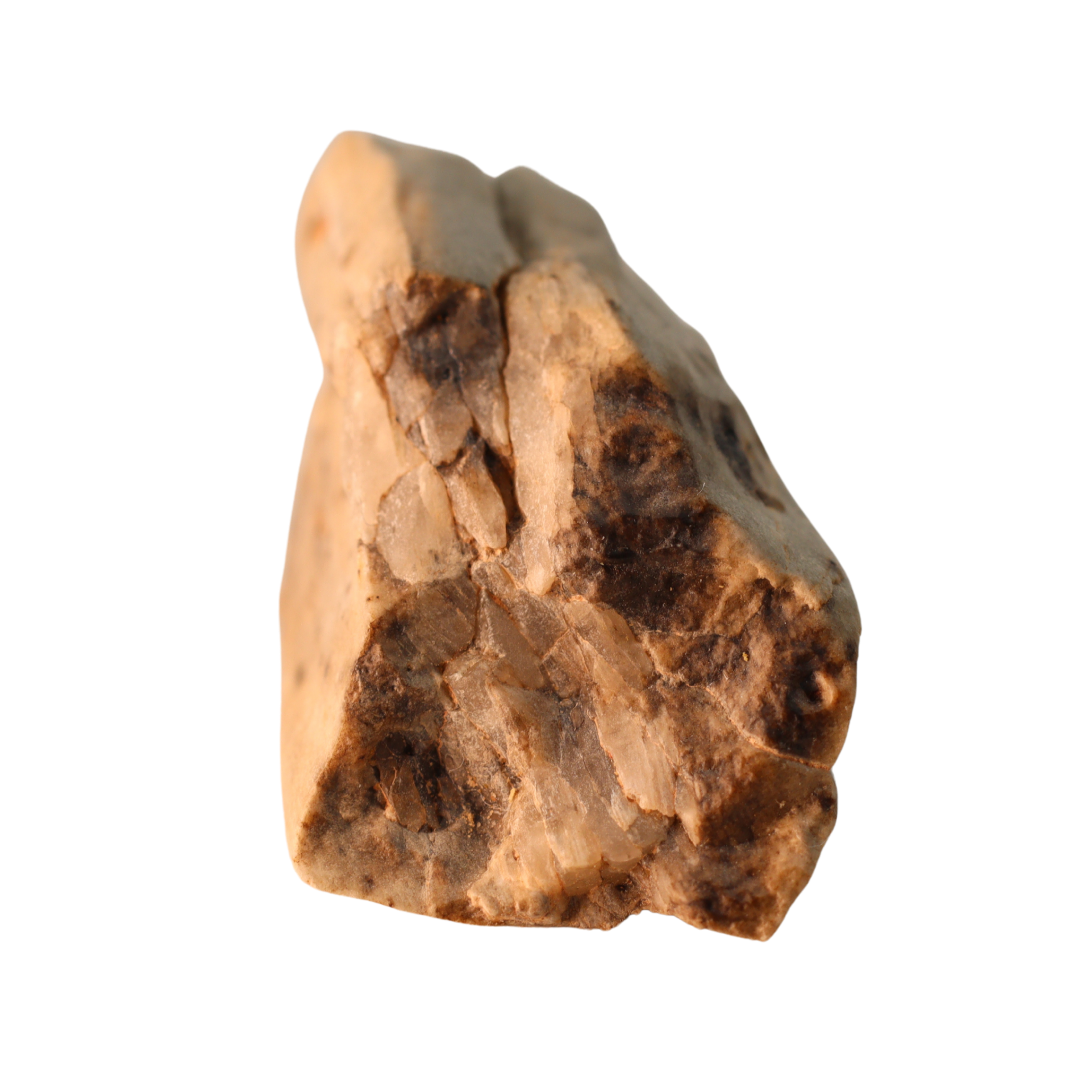 MBS meteorite Sebkha el Melah 001 enstatite achondrite aubrite meteorite fragment showing metallic and mineral features.