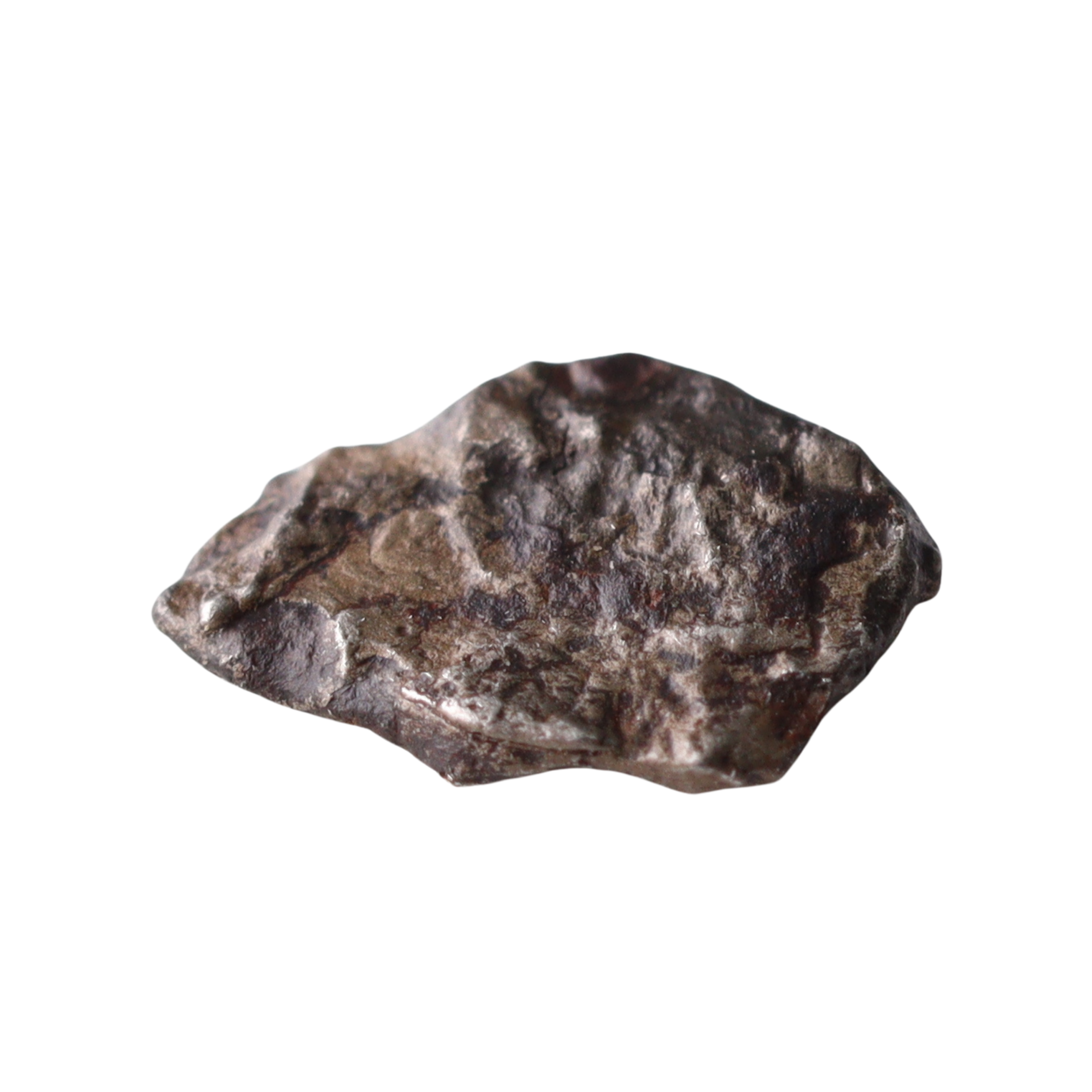 Ungrouped iron meteorite Mdeïné 003 by MBS Meteorite with a golden hue, showing textured metallic surface.