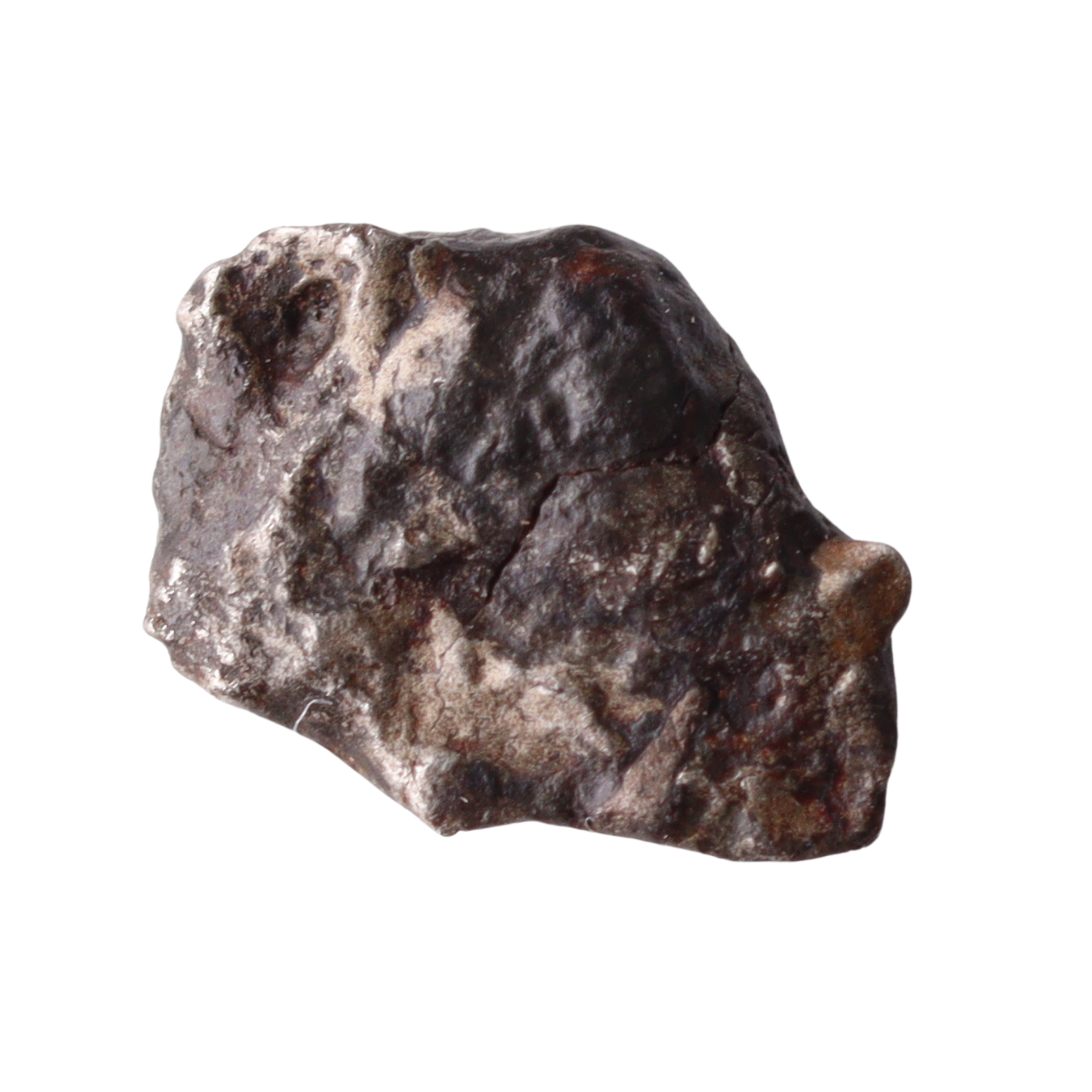 Golden MBS Meteorite Mdeïné 003 iron meteorite, ungrouped, with a textured surface and metallic luster, shown in the image.