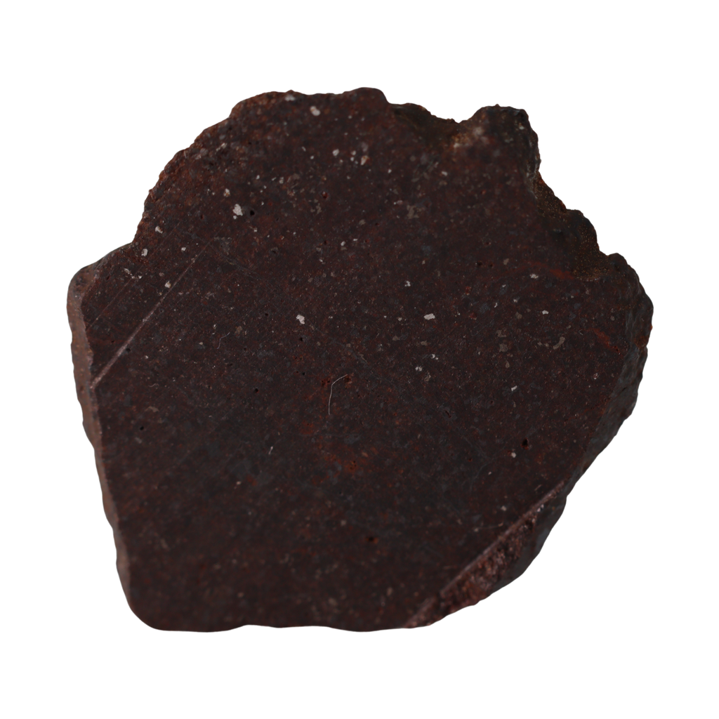 NWA 16208 Winonaite Meteorite Slice - Rare Primitive Achondrite (1.4 g). - MBS meteorite 