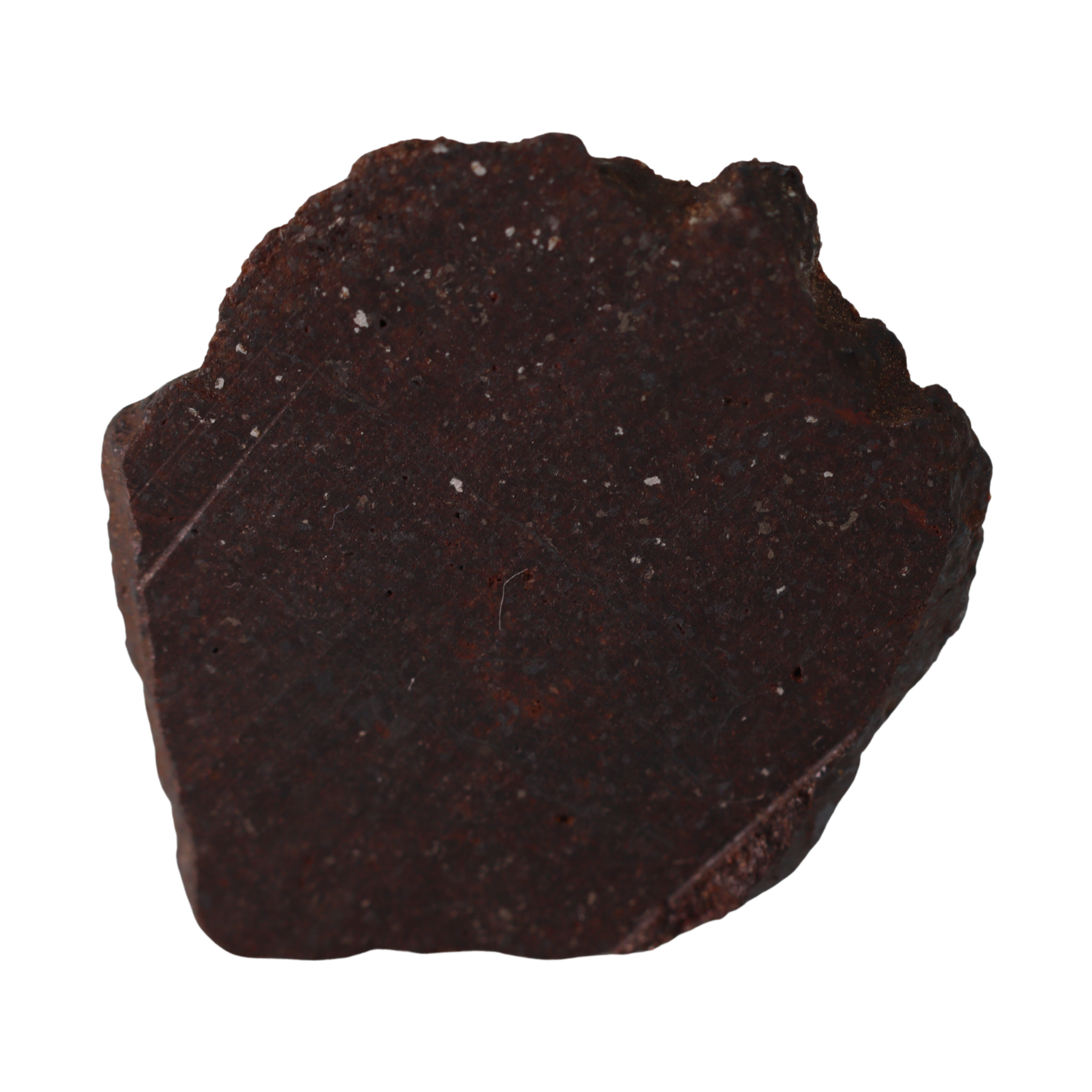 NWA 16208 Winonaite Meteorite Slice - Rare Primitive Achondrite (1.4 g). - MBS meteorite 