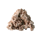 New Denader 002 Meteorite Ungrouped Achondrite (4.74 g)