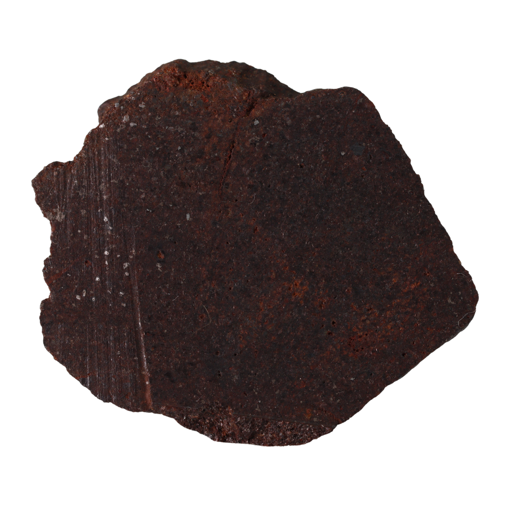 NWA 16208 Winonaite Meteorite Slice - Rare Primitive Achondrite (1.4 g). - MBS meteorite 